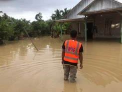 Sebanyak 812 Jiwa Terdampak Banjir di Kabupaten Luwu utara